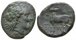 Bruttium. Nuceria circa 225-200 BC. Bronze Æ