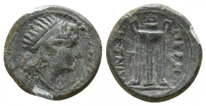 Bruttium. Petelia circa 204-89 BC.
Bronze Æ

14mm., 1,90g.

Radiate head of...
