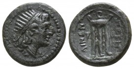 Bruttium. Petelia circa 204-89 BC. Bronze Æ