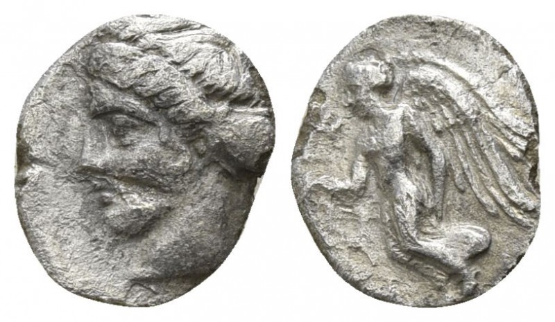 Bruttium. Terina circa 420-400 BC.
Diobol AR

10mm., 0,51g.

Female head le...
