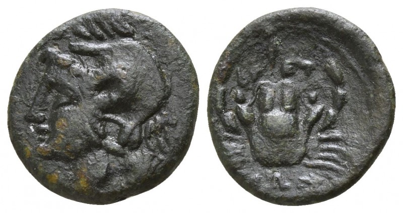 Bruttium. The Brettii circa 214-211 BC.
Bronze Æ

13mm., 1,55g.

Head of Am...