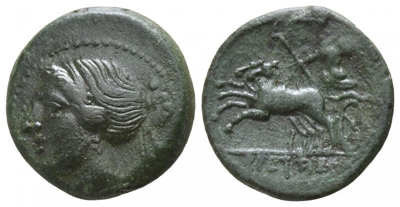 Bruttium. The Brettii circa 211-208 BC.
Reduced Semuncia AE

16mm., 3,46g.
...