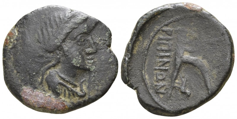 Sicily. Centuripa circa 344-336 BC.
Hexas AE

17mm., 2,49g.

Draped bust of...