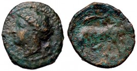 GRECHE - SICILIA - Siracusa - Agatocle (317-289 a.C.) - AE 15 - Testa di Persefone a s. /R Toro cozzante a s. sopra un delfino Mont. 5146; S. Ans. 603...