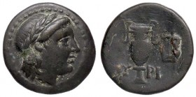 GRECHE - AIOLIS - Myrina - AE 16 - Testa laureata di Apollo di Grynion a d. /R Anfora S. Cop. 224 (AE g. 4,16)
BB