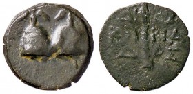 GRECHE - KOLCHIS - Dioskourias - AE 17 - Berretti dei Dioscuri sormontati da due stelle /R Tirso tra leggenda Sear 3629 (AE g. 1,66)periodo di Mitrida...