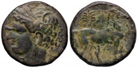 GRECHE - ZEUGITANA - Cartagine - AE 28 - Testa a s. /R Cavallo stante a d., dietro, palmizio Sear 6507 (AE g. 14,94)
BB