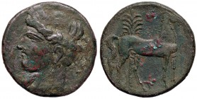 GRECHE - ZEUGITANA - Cartagine - AE 28 - Testa a s. /R Cavallo stante a d., dietro, palmizio Sear 6507 (AE g. 18,54)
BB
