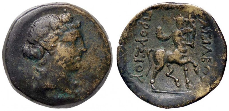 GRECHE - RE DI BITINIA - Prusias II (185-149 a.C.) - AE 20 - Testa di Dioniso a ...
