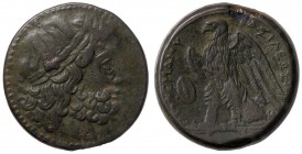 GRECHE - RE TOLEMAICI - Tolomeo II, Filadelfo (285-246 a. C.) - AE 27 - Testa laureata di Zeus a d. /R Aquila ad ali spiegate a s.; nel campo, uno scu...