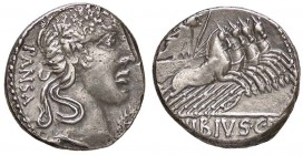 ROMANE REPUBBLICANE - VIBIA - C. Vibius C. F. Pansa (90 a.C.) - Denario - Testa piccola di Apollo a d. /R Pallade su quadriga verso d. con scettro e u...