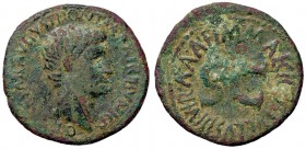 ROMANE IMPERIALI - Augusto (27 a.C.-14 d.C.) - Asse - Testa a d. /R SC entro scritta circolare C. 448 (AE g. 10,75)
qBB