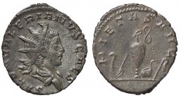 ROMANE IMPERIALI - Salonino (260) - Antoniniano - Busto radiato e drappeggiato a d. /R Strumenti sacrificali C. 41 (AG g. 2,93)
qSPL