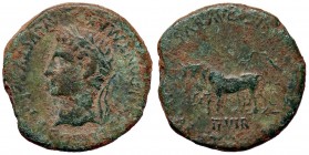 ROMANE PROVINCIALI - Augusto (27 a.C.-14 d.C.) - AE 25 (Caesaraugusta) - Testa a s. /R Sacerdoti con coppia di buoi RPC 318 (AE g. 11,73)
qBB