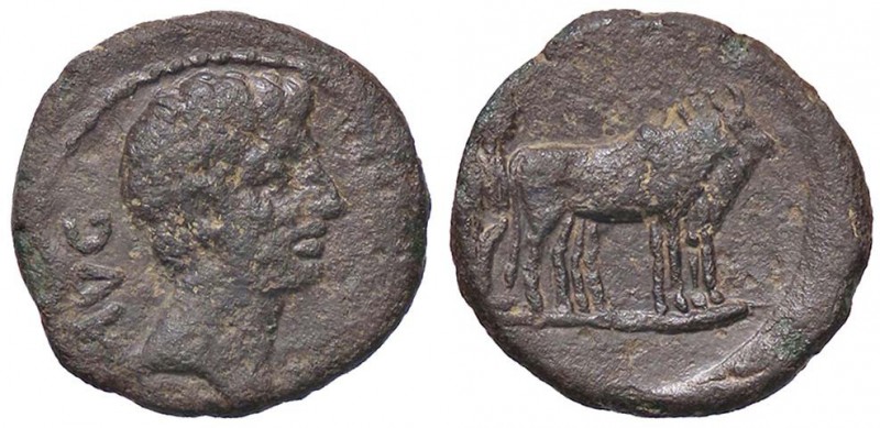 ROMANE PROVINCIALI - Augusto (27 a.C.-14 d.C.) - AE 24 (Berytus) - Testa a d. /R...