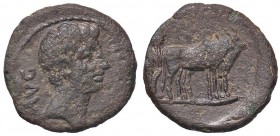 ROMANE PROVINCIALI - Augusto (27 a.C.-14 d.C.) - AE 24 (Berytus) - Testa a d. /R Contadino al lavoro con coppia di buoi (AE g. 2,8)
bel BB