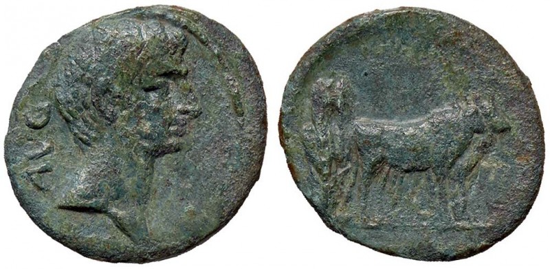 ROMANE PROVINCIALI - Augusto (27 a.C.-14 d.C.) - AE 23 - Testa a d. /R Contadino...