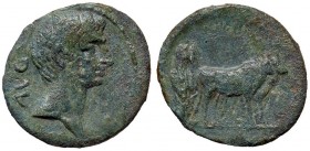 ROMANE PROVINCIALI - Augusto (27 a.C.-14 d.C.) - AE 23 - Testa a d. /R Contadino al lavoro con coppia di buoi (AE g. 4,11)
BB