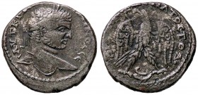 ROMANE PROVINCIALI - Caracalla (198-217) - Tetradracma (Antiochia ad Orontem) - Testa laureata a d. /R Aquila stante con testa a d. e corona nel becco...