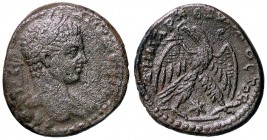 ROMANE PROVINCIALI - Caracalla (198-217) - Tetradracma (Antiochia ad Orontem) - Busto laureato a d. /R Aquila stante con corona nel becco; in esergo, ...
