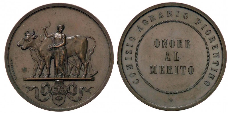 MEDAGLIE - CITTA' - Firenze - Medaglia AE Opus: Pieroni Ø 42
qFDC