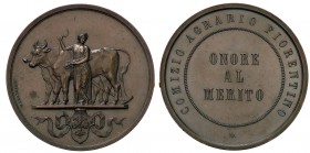 MEDAGLIE - CITTA' - Firenze - Medaglia AE Opus: Pieroni Ø 42
qFDC