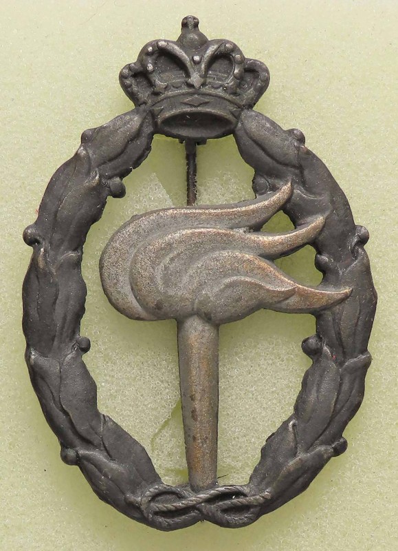 VARIE - Articoli militari Aeronautica, distintivo ricognizione terrestre, in zam...