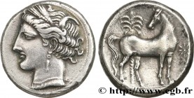 ZEUGITANA - CARTHAGE
Type : Shekel 
Date : 300-260 AC. 
Mint name / Town : Carthage, Zeugitane 
Metal : silver 
Diameter : 19  mm
Orientation dies : 1...