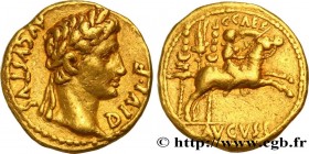AUGUSTUS and CAIUS
Type : Aureus 
Date : 8 AC. 
Mint name / Town : Lyon 
Metal : gold 
Millesimal fineness : 1000  ‰
Diameter : 19,5  mm
Orientation d...