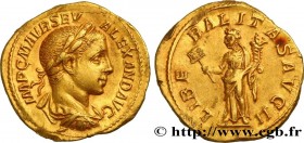 SEVERUS ALEXANDER
Type : Aureus 
Date : 224 
Mint name / Town : Rome 
Metal : gold 
Millesimal fineness : 500  ‰
Diameter : 20,5  mm
Orientation dies ...