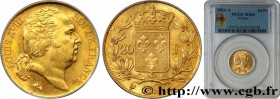 LOUIS XVIII
Type : 20 francs or Louis XVIII, tête nue 
Date : 1816 
Mint name / Town : Paris 
Quantity minted : 167525 
Metal : gold 
Millesimal finen...