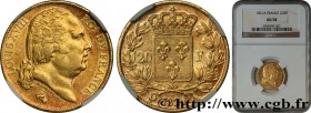 LOUIS XVIII
Type : 20 francs or Louis XVIII, tête nue 
Date : 1821 
Mint name / Town : Paris 
Quantity minted : 11653 
Metal : gold 
Millesimal finene...