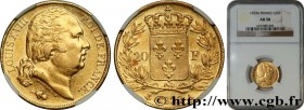 LOUIS XVIII
Type : 20 francs or Louis XVIII, tête nue 
Date : 1823 
Mint name / Town : Paris 
Quantity minted : 12354 
Metal : gold 
Millesimal finene...
