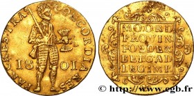 NETHERLANDS - BATAVIAN REPUBLIC
Type : Ducat d'or au chevalier, 1er type 
Date : 1801 
Mint name / Town : Utrecht 
Quantity minted : - 
Metal : gold 
...