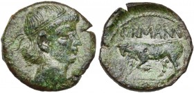 GAULE BELGIQUE, période gallo-romaine, AE bronze, vers 10-8 av. J.-C. D/ T. diad. à d. R/ Taureau boutant à g. Au-dessus, GERMANVS. A l''ex., INDVTILL...