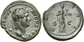 HADRIEN (117-138), AE as, 125-128, Rome. D/ HADRIANVS AVGVSTVS T. l. à d., l''épaule g. dr. R/ COS- III/ S-C Salus deb. à d., nourrissant avec une pat...