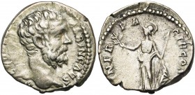 CLODIUS ALBINUS César (193-195), AR denier, 194-195, Rome. D/ D CLOD SEPT ALBIN CAES T. à d. R/ MINER PACIF COS II Minerve deb. à g., ten. un rameau, ...