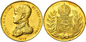 BRESIL, Pedro II (1831-1889), AV 10.000 reis, 1848 (sur 1847). B. en uniforme. D/ T. enfantine à d. R/ Ecu couronné entre deux rameaux. Fr. 118. Rare ...