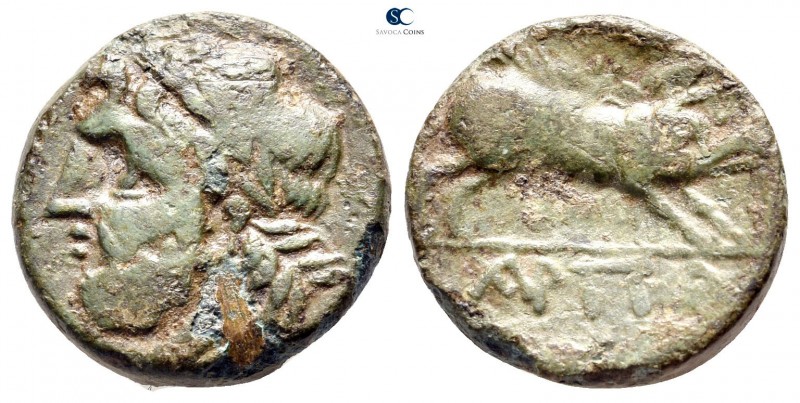Apulia. Arpi circa 325-275 BC. 
Bronze Æ

19mm., 6,72g.



very fine