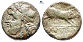 Apulia. Arpi circa 325-275 BC. Bronze Æ