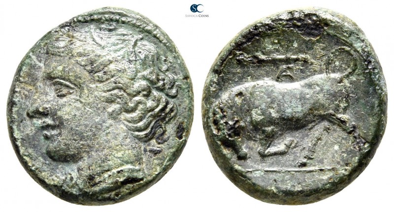 Sicily. Syracuse. Hieron II circa 275-215 BC. 
Bronze Æ

19mm., 5,55g.


...