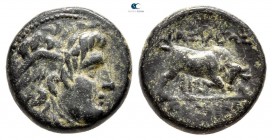 Seleukid Kingdom. Sardeis. Seleukos I Nikator 312-281 BC. Bronze Æ