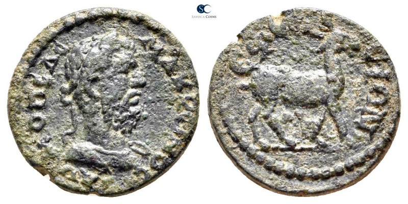 Ionia. Ephesos. Macrinus AD 217-218. 
Bronze Æ

17mm., 3,02g.



very fin...