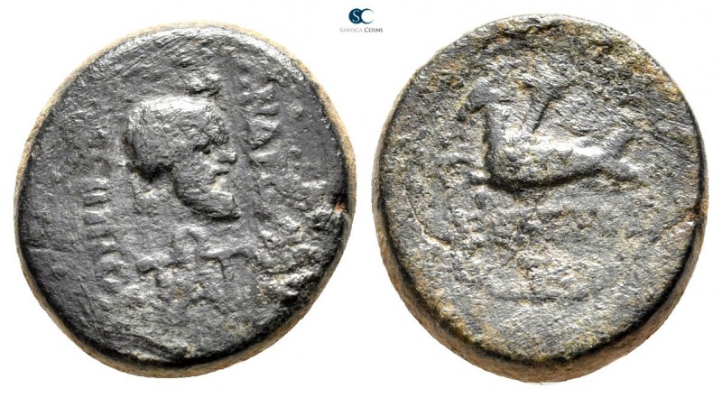 Caria. Trapezopolis. Augustus 27 BC-AD 14. ΑΝΔΡΟΝΙΚΟΣ ΓΟΡΓΙΠΠΟΥ (Andronikos, son...