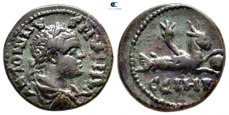 Mysia. Parion. Caracalla AD 198-217. 
Bronze Æ

22mm., 7,12g.



very fin...