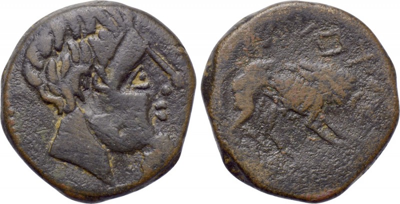 IBERIA. Iltirta. Ae Unit (Circa 80-72 BC). 

Obv: Male head right.
Rev: Wolf ...