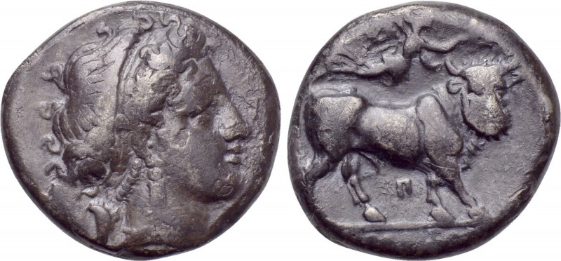 CAMPANIA. Neapolis. Nomos (Circa 300-275 BC). 

Obv: Diademed head of female r...
