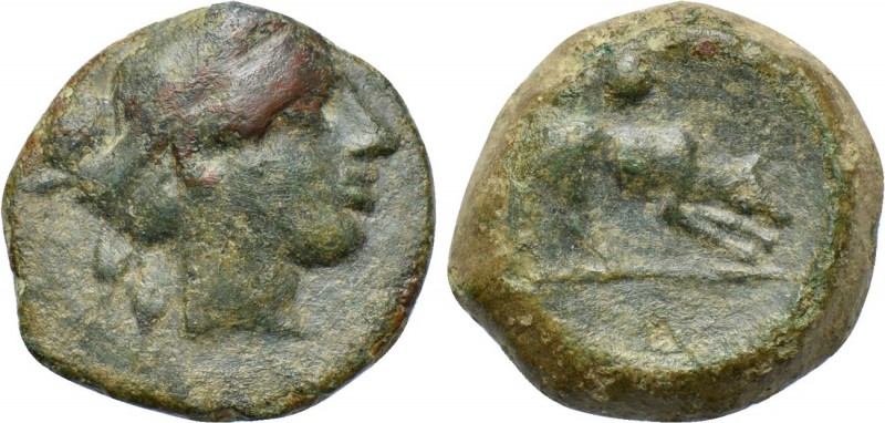 SICILY. Segesta. Ae Onkia (Circa 420-416/5 BC). 

Obv: Head of Aigiste right, ...