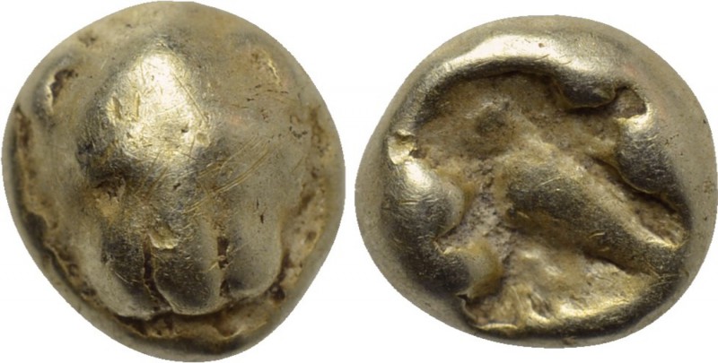 IONIA. Uncertain. EL 1/24 Stater (Circa 600-550 BC). 

Obv: Facing head of lio...