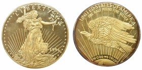 USA, Giant Half-Pound Golden Eagle 1996, silver .999